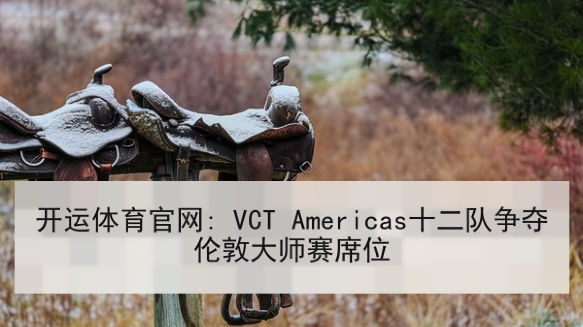 开运体育官网: VCT Americas十二队争夺伦敦大师赛席位